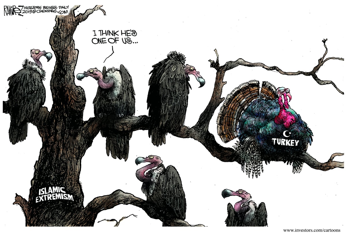 Michael Ramirez — June 4, 2013