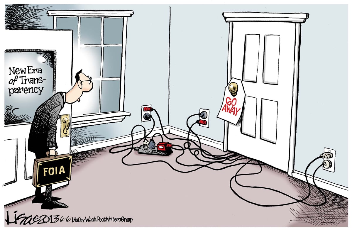 Lisa Benson — June 6, 2013