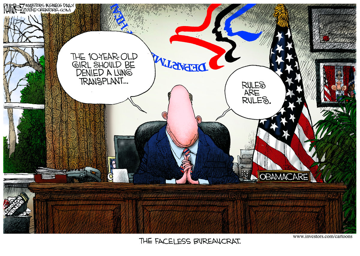 Michael Ramirez — June 13, 2013