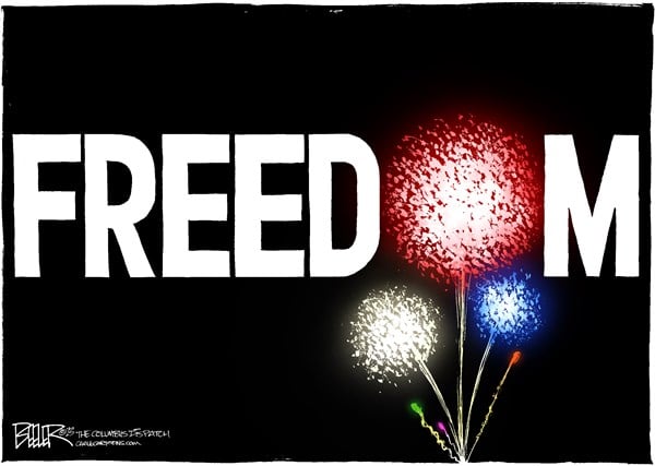 Nate Beeler — July 4, 2013