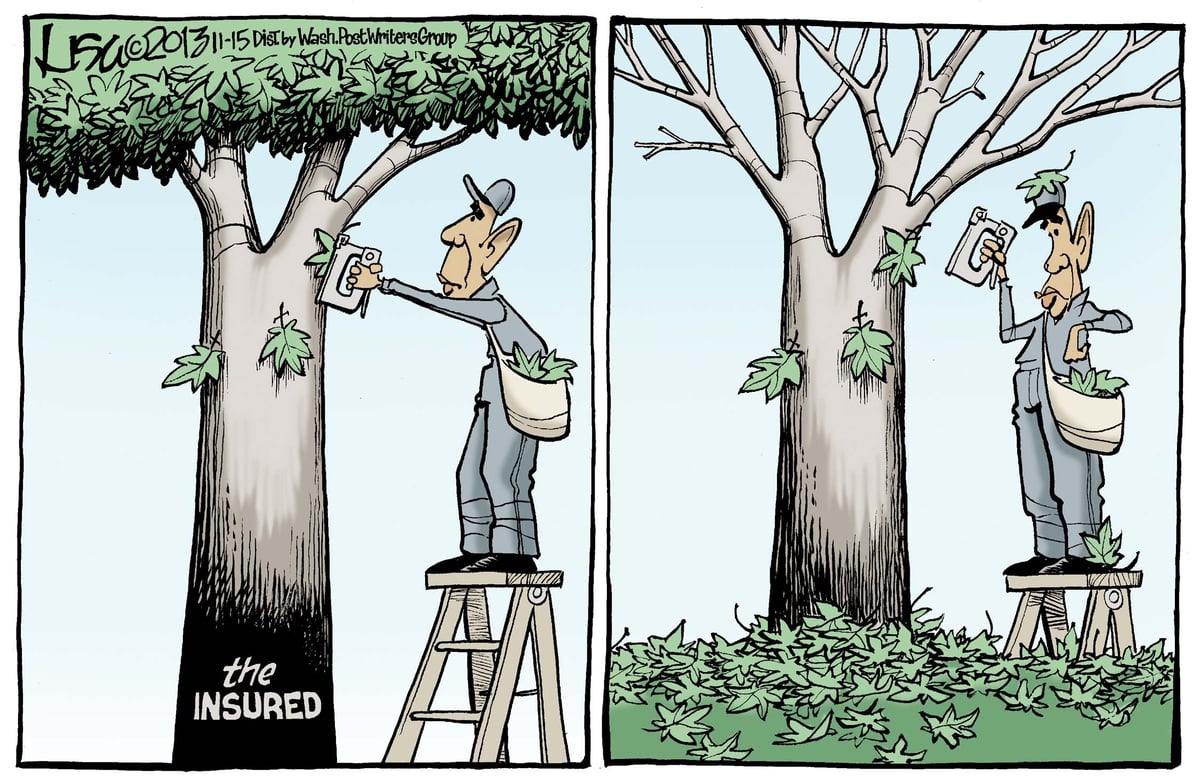 Lisa Benson — November 15, 2013