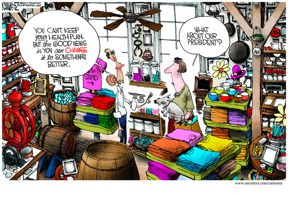 Michael Ramirez — November 19, 2013
