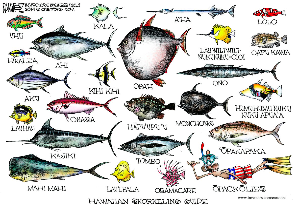 Michael Ramirez — January 8, 2014