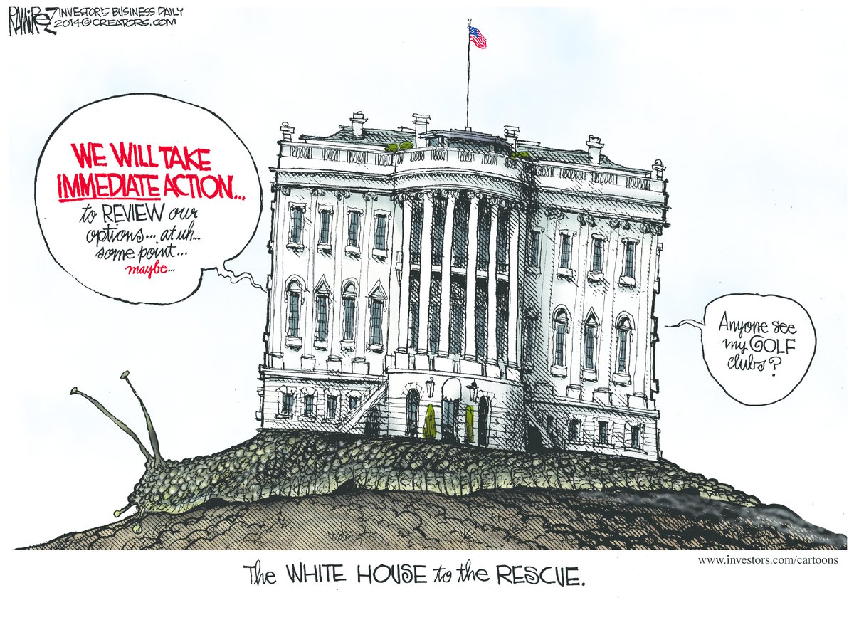 Michael Ramirez — June 20, 2014