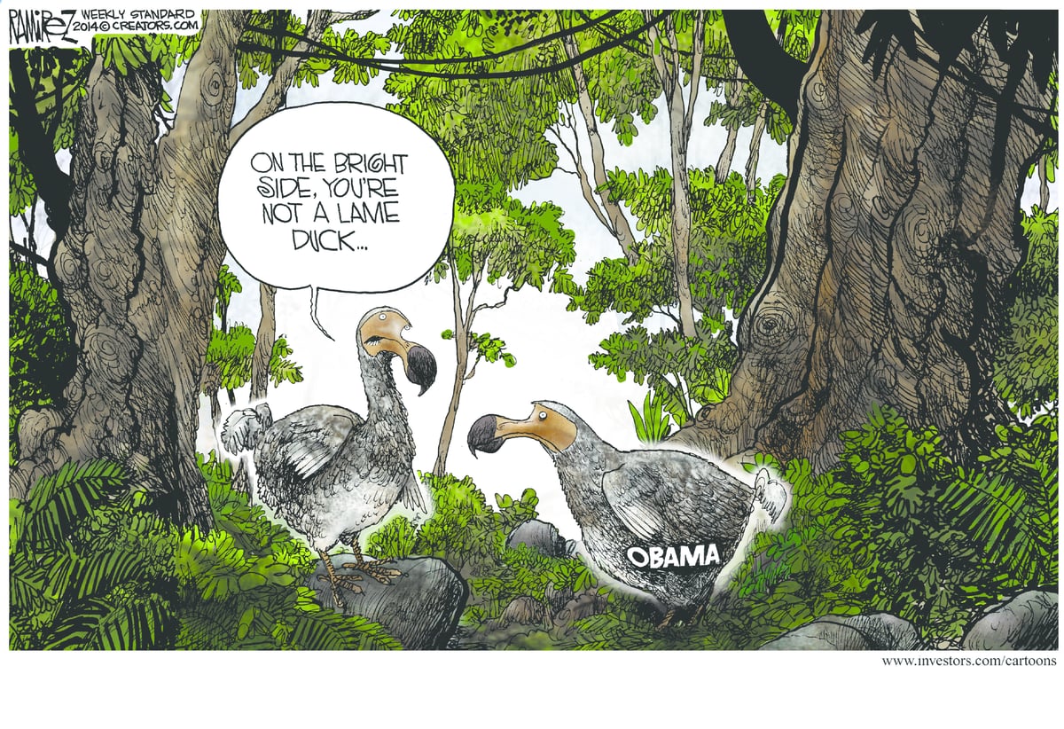 Michael Ramirez — July 29, 2014