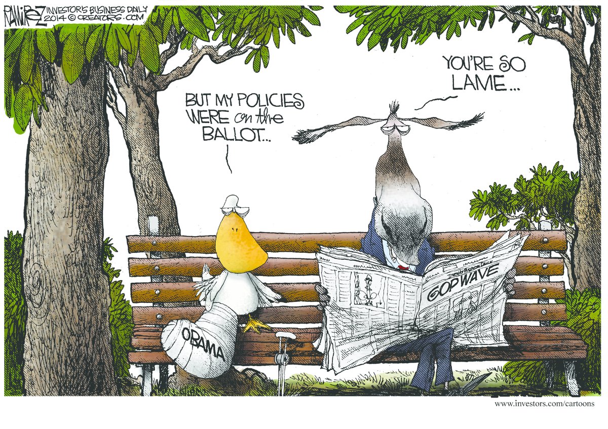 Michael Ramirez — November 7, 2014