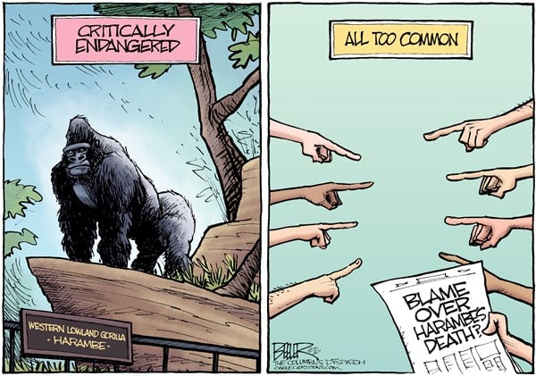Nate Beeler — June 1, 2016