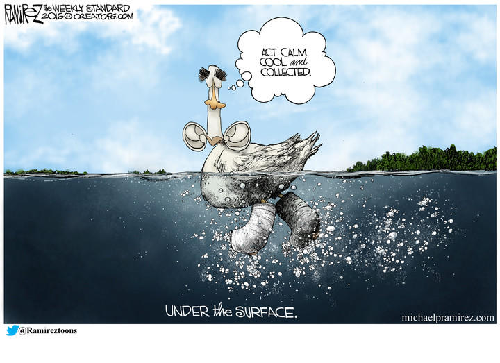 Michael Ramirez — November 21, 2016