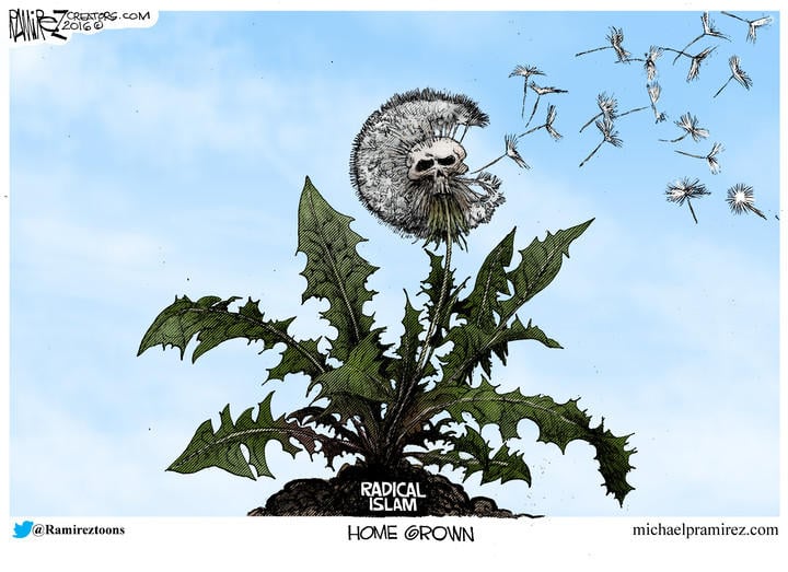 Michael Ramirez — December 6, 2016