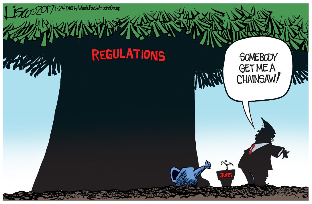 Lisa Benson — January 24, 2017