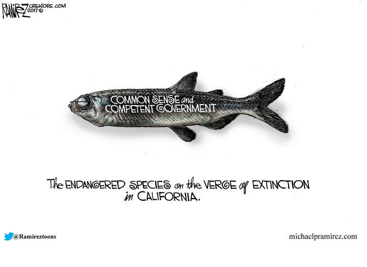 Michael Ramirez — March 31, 2017