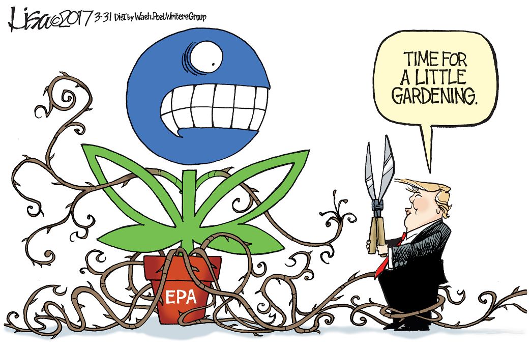 Lisa Benson — March 31, 2017