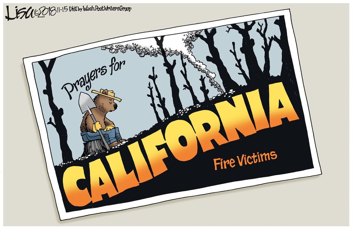 Lisa Benson — November 15, 2018