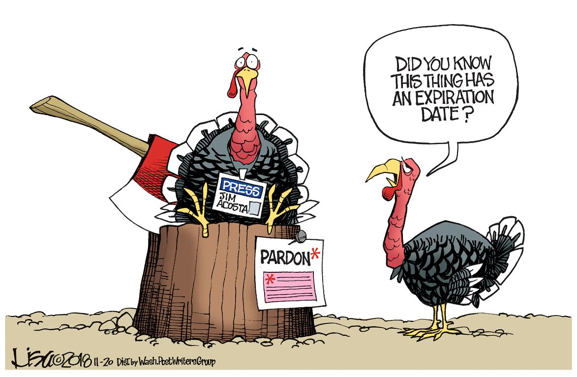 Lisa Benson — November 20, 2018