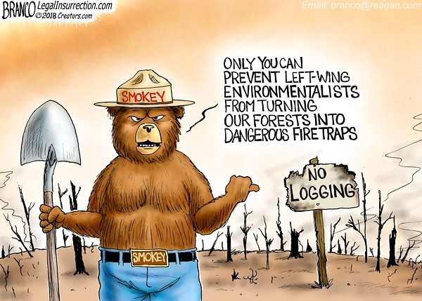 A.F. Branco — November 27, 2018