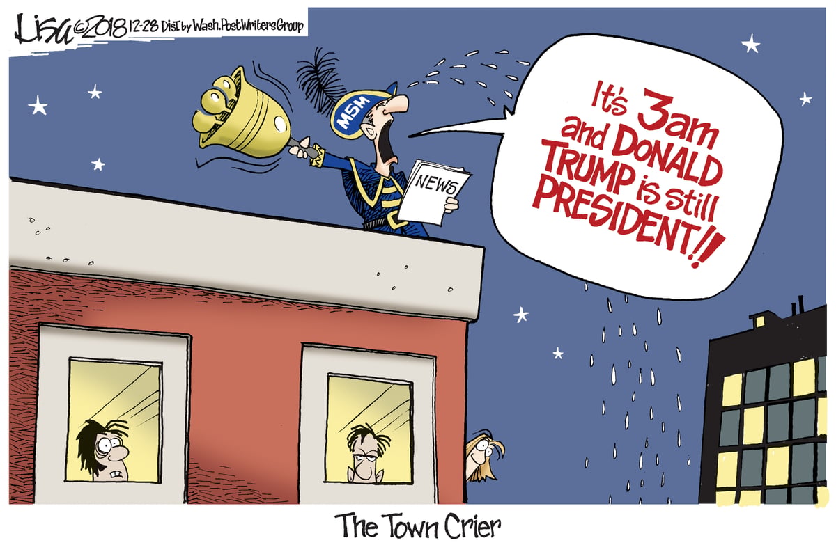 Lisa Benson — December 28, 2018