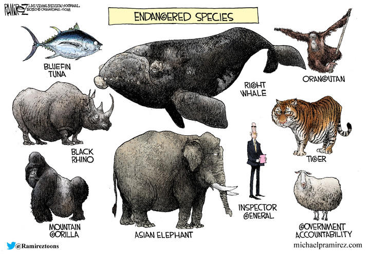 Michael Ramirez — May 20, 2020