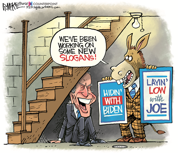 Rick McKee — July 29, 2020
