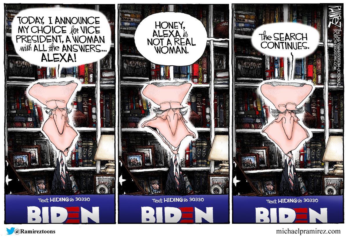 Michael Ramirez — August 6, 2020