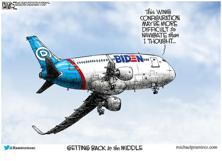 Michael Ramirez — August 20, 2020