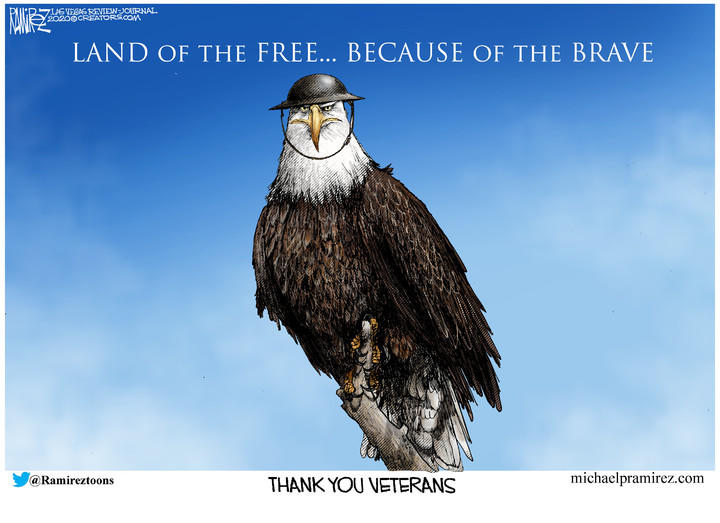 Michael Ramirez — November 11, 2020