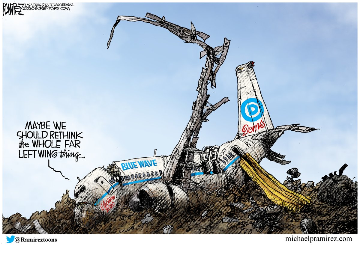 Michael Ramirez — November 16, 2020