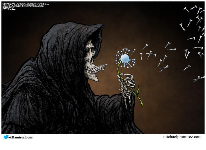 Michael Ramirez — November 20, 2020