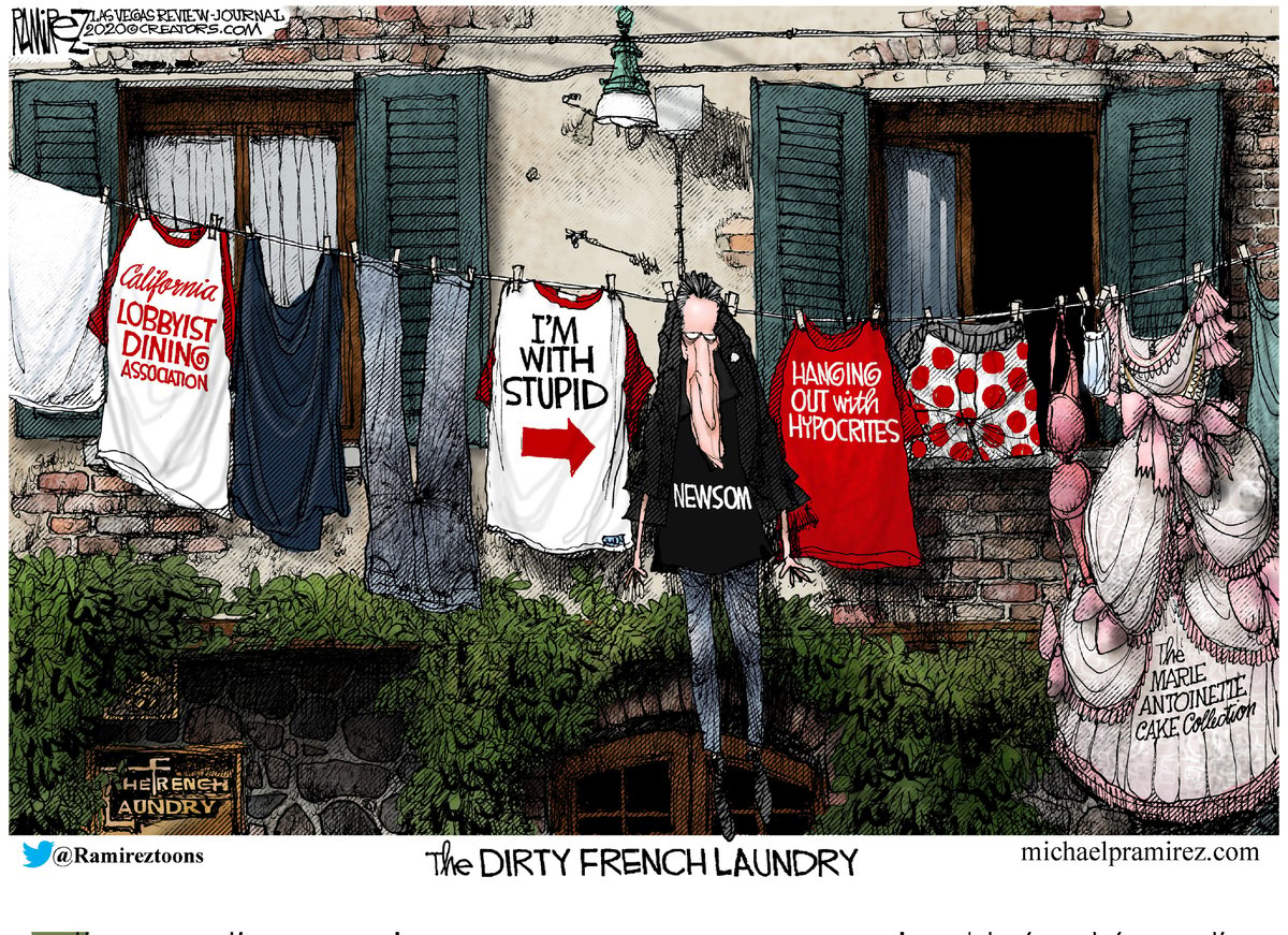 Michael Ramirez — November 22, 2020