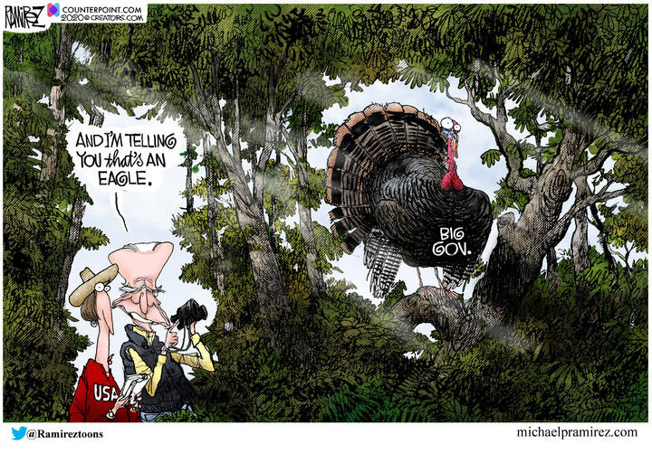 Michael Ramirez — November 27, 2020