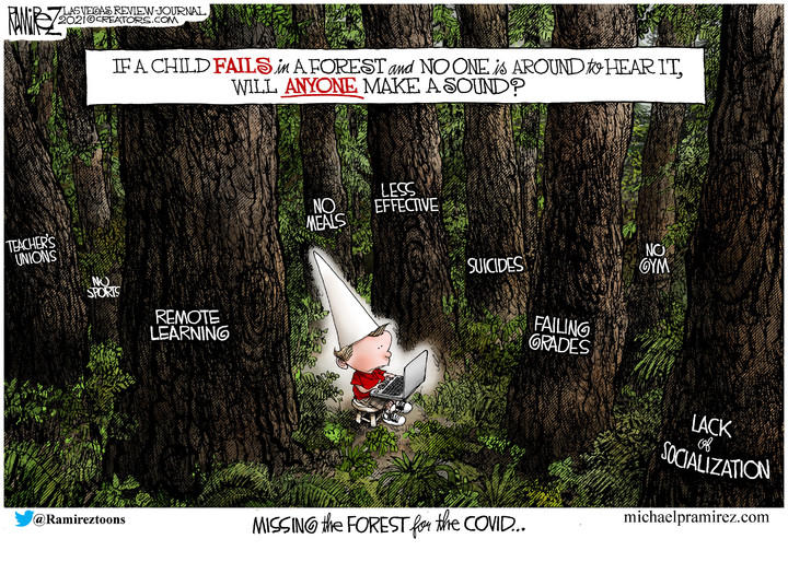Michael Ramirez — January 30, 2021
