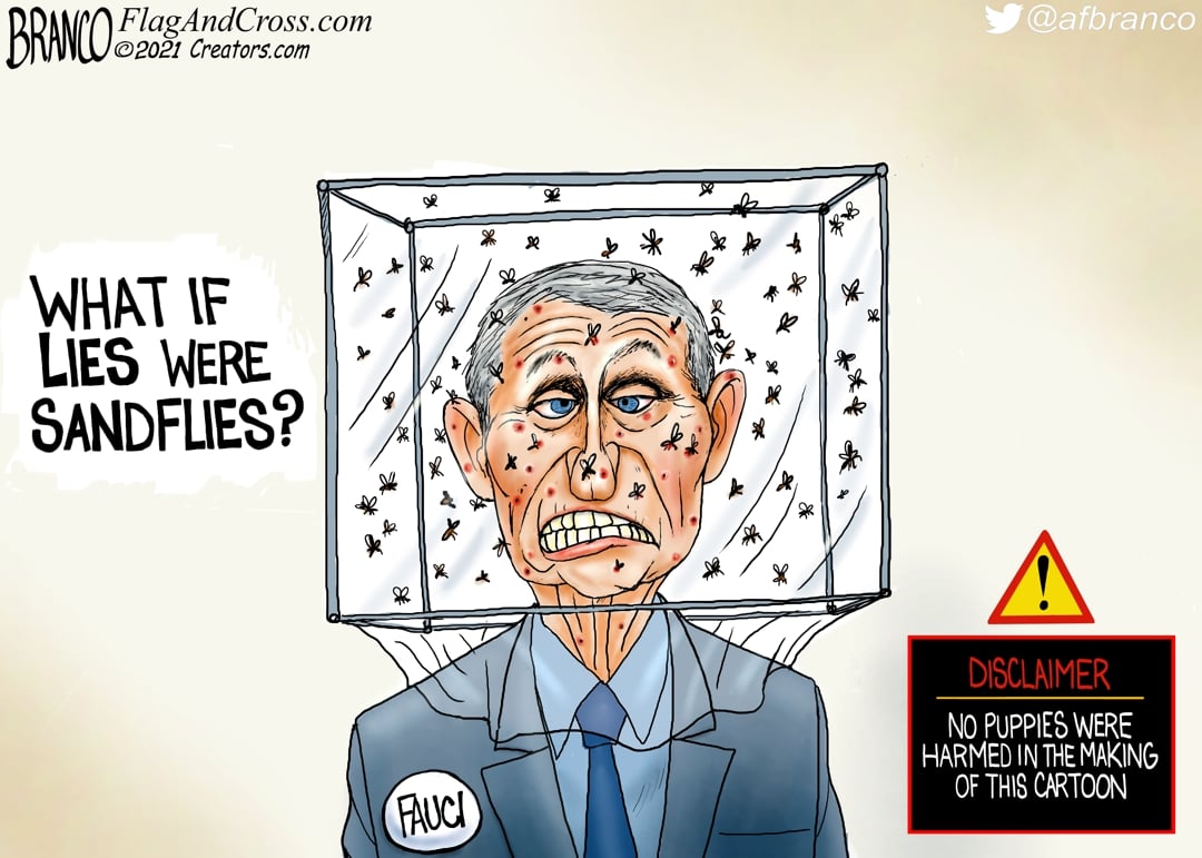 A.F. Branco — October 27, 2021