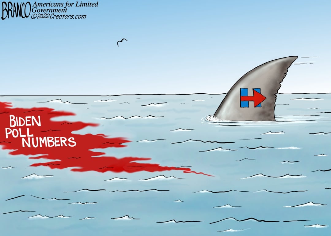 A.F. Branco — February 22, 2022