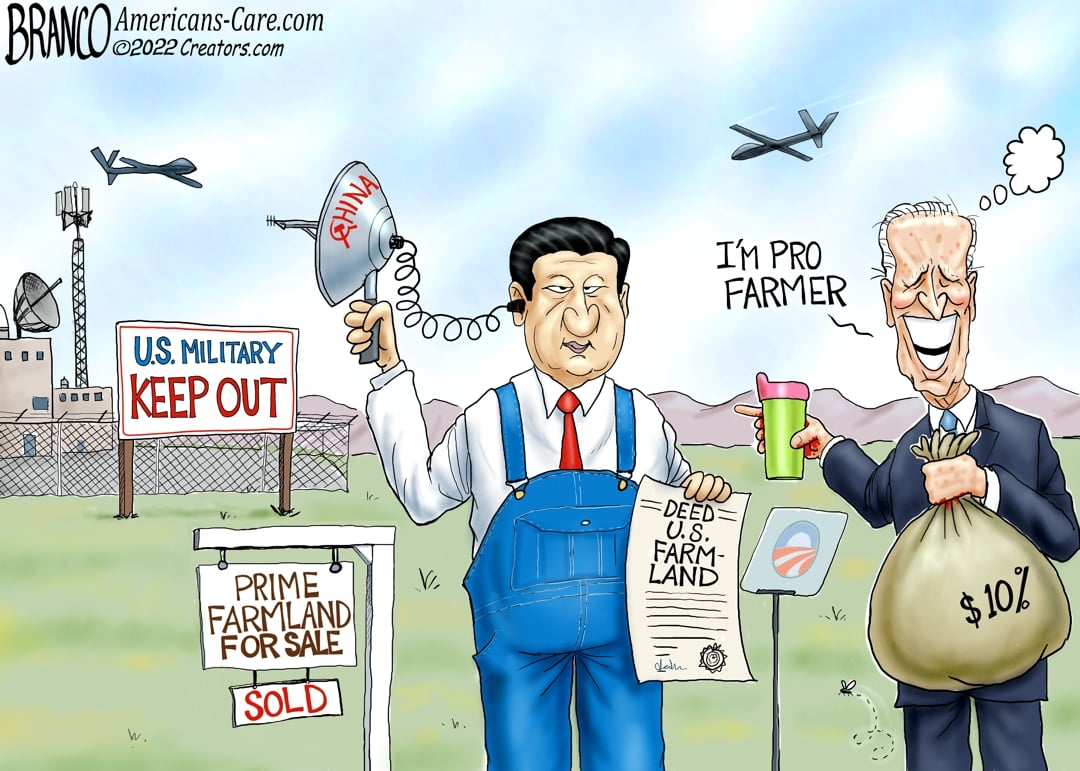 A.F. Branco — July 28, 2022