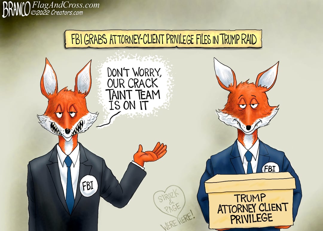 A.F. Branco — August 31, 2022