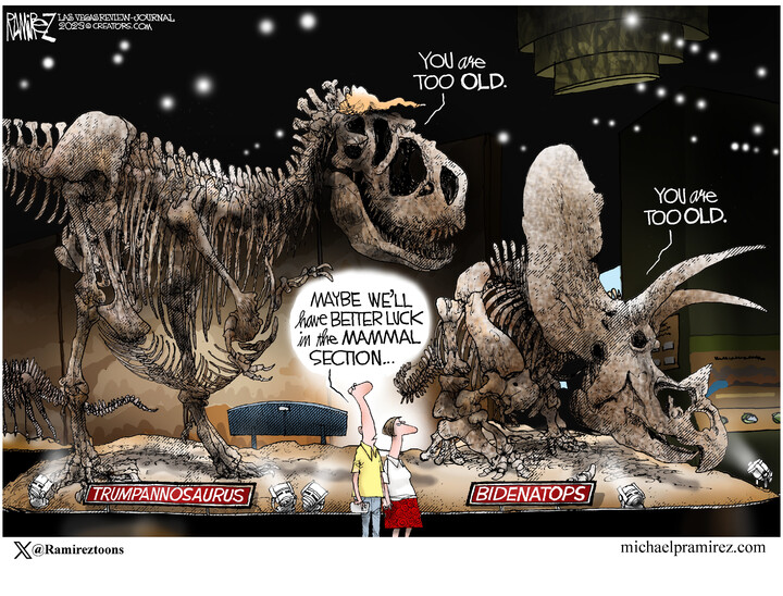 Michael Ramirez — November 22, 2023