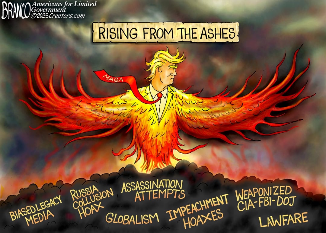 A.F. Branco — July 29, 2025