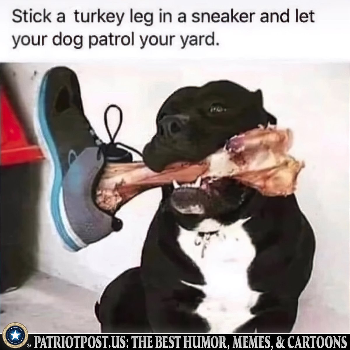 Pro Thanksgiving Tip