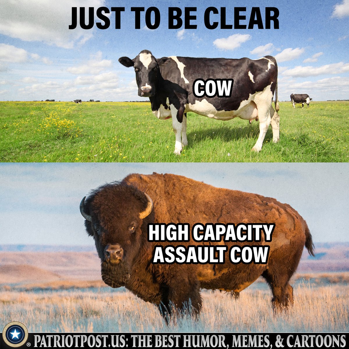 meme assault cow