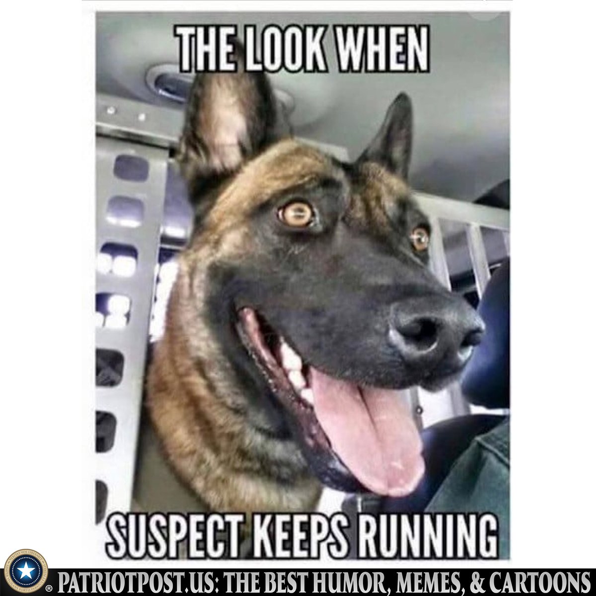 meme look when suspect runs