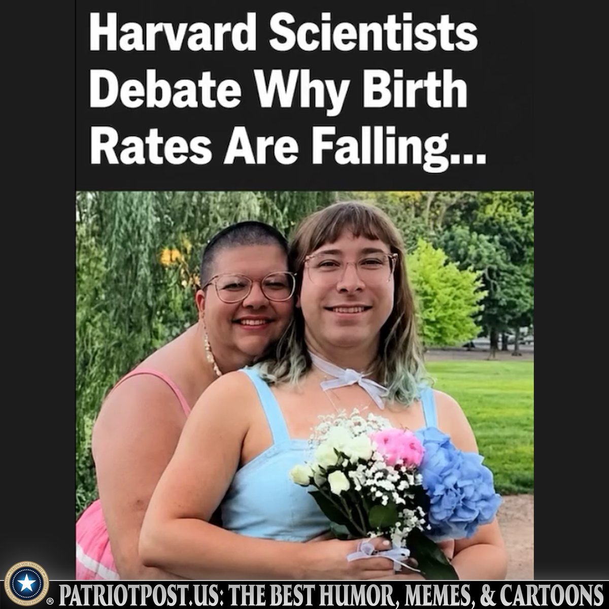 meme birth rates fall