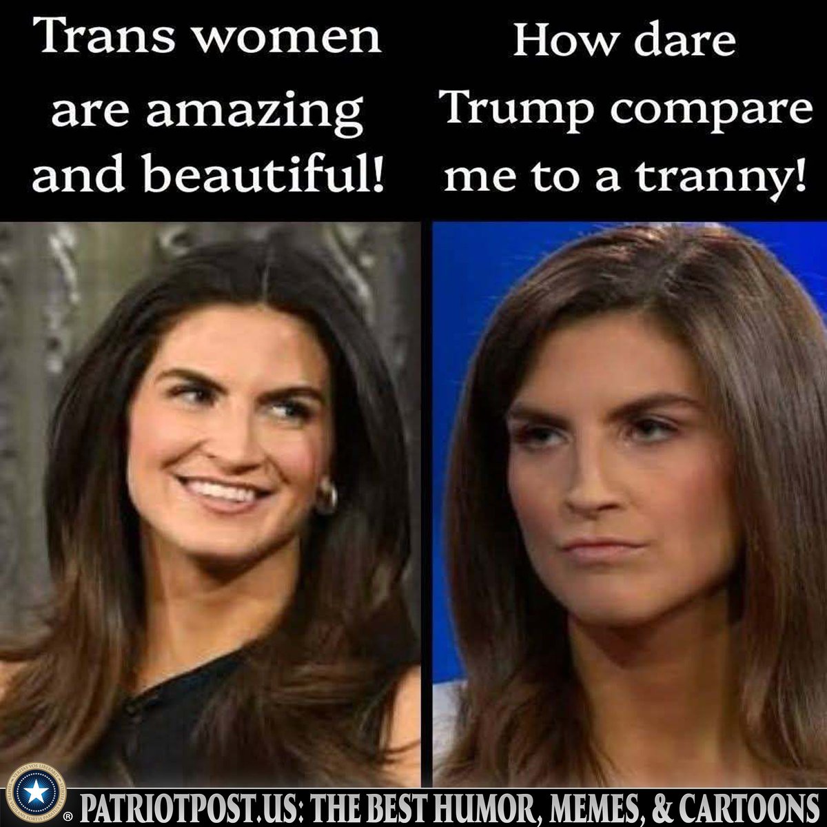 meme kaitlyn collins tranny