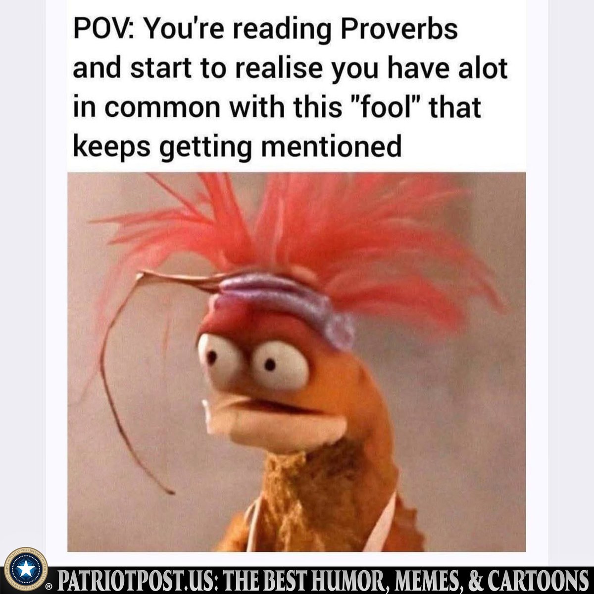 meme proverbs fool