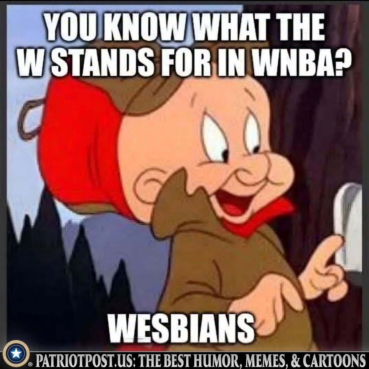 meme wnba wesbians