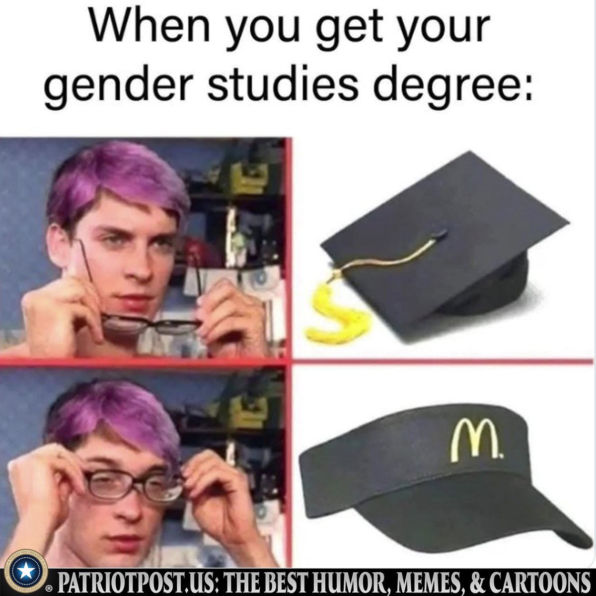 meme gender studies degree