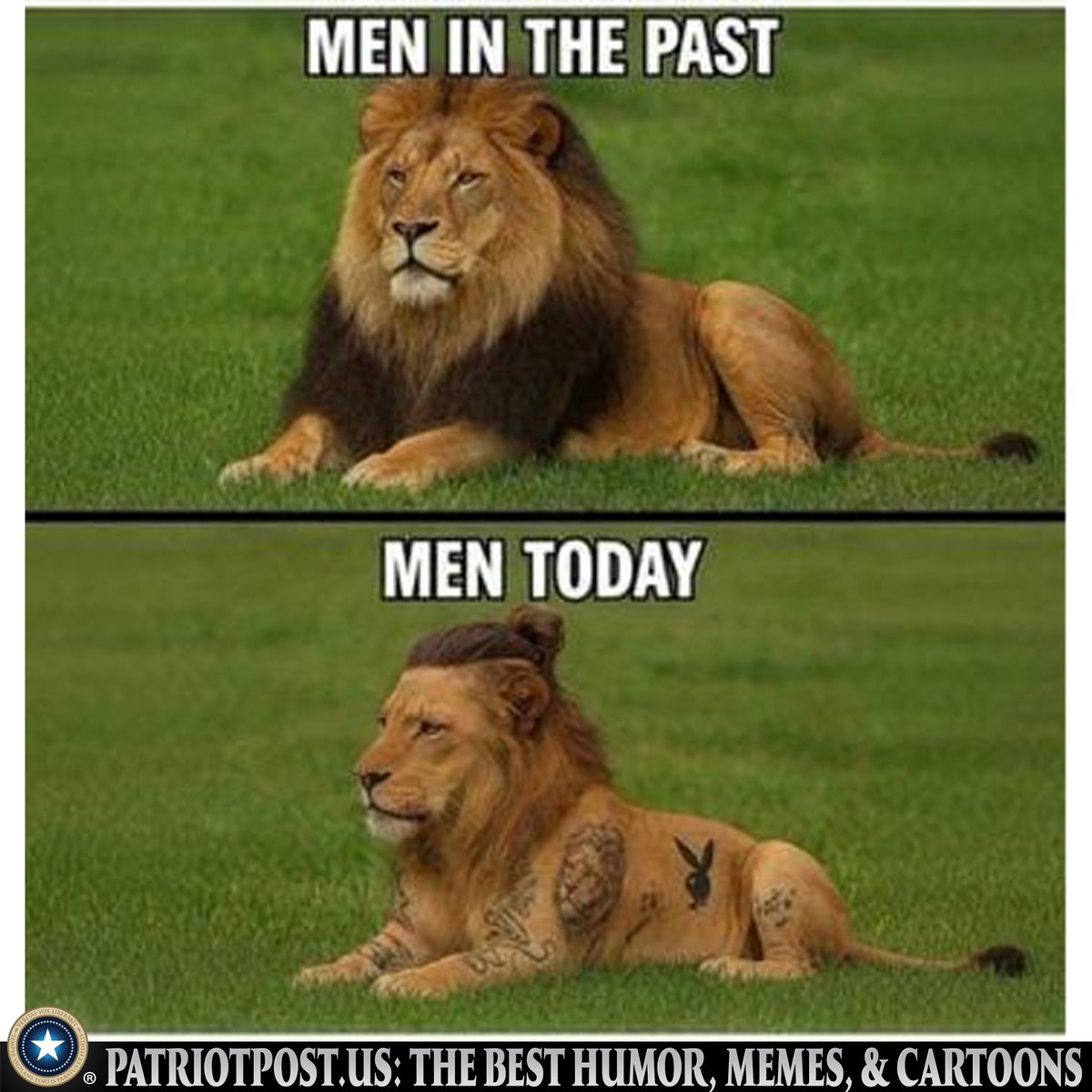 meme men today lion