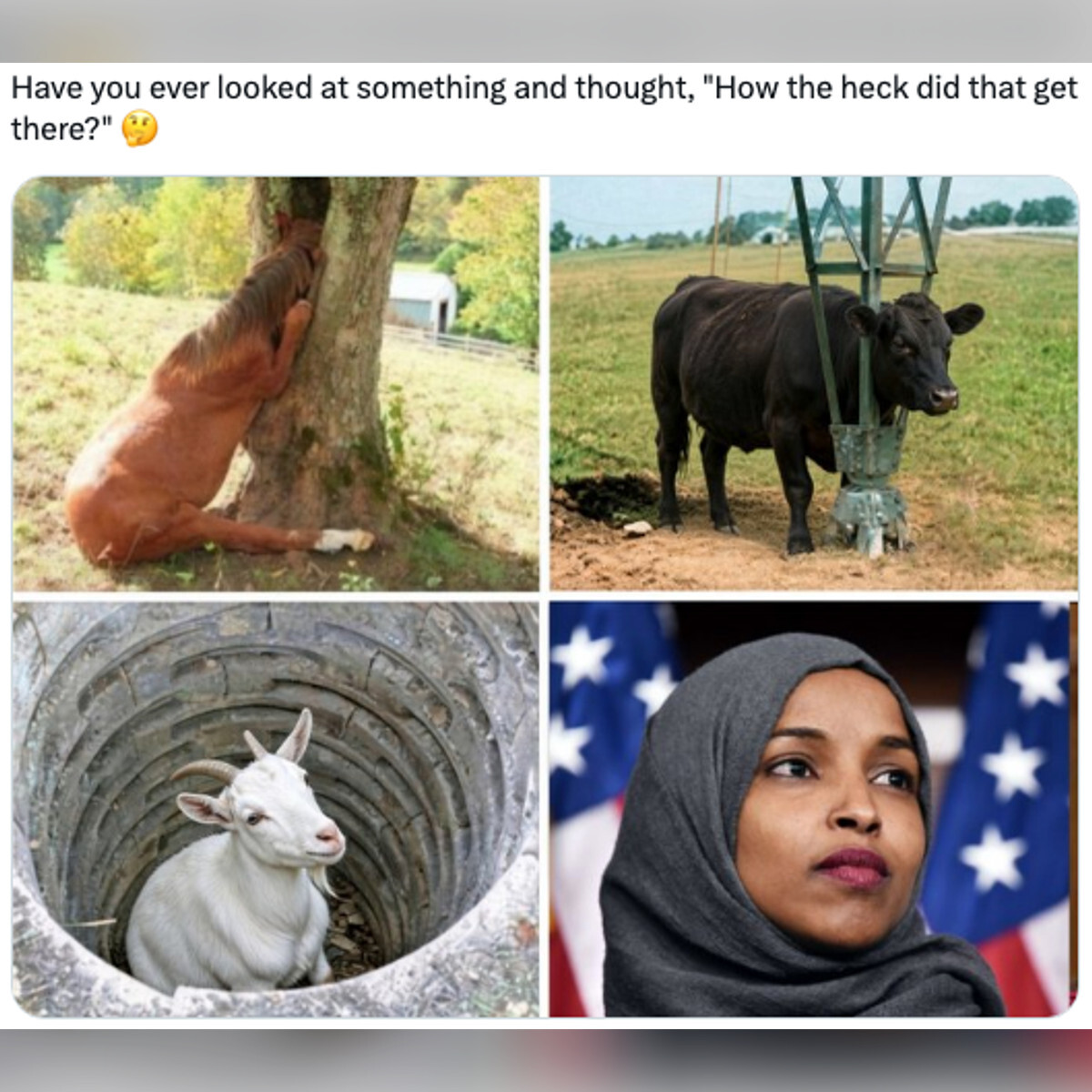 Omar How Did That | The Patriot Post