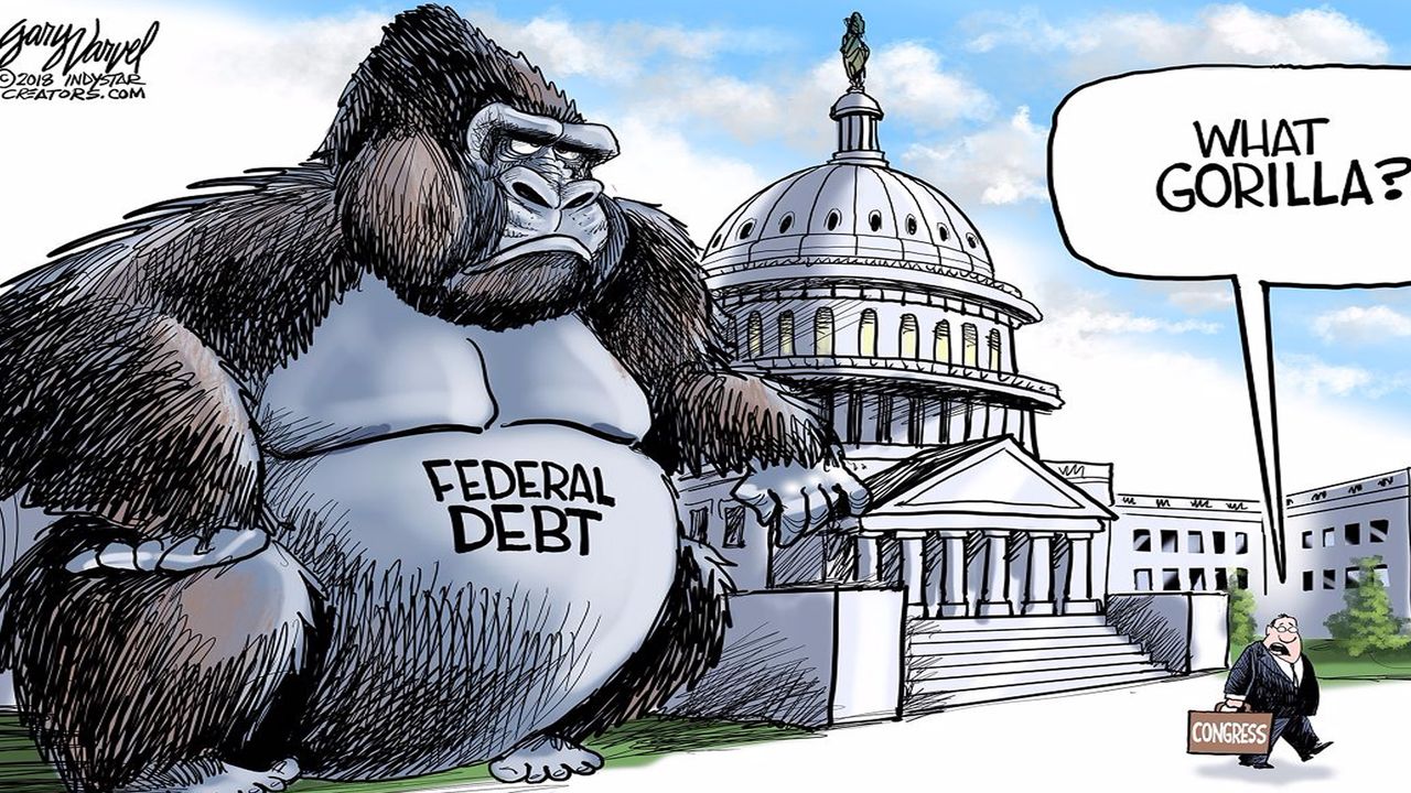 gorilla