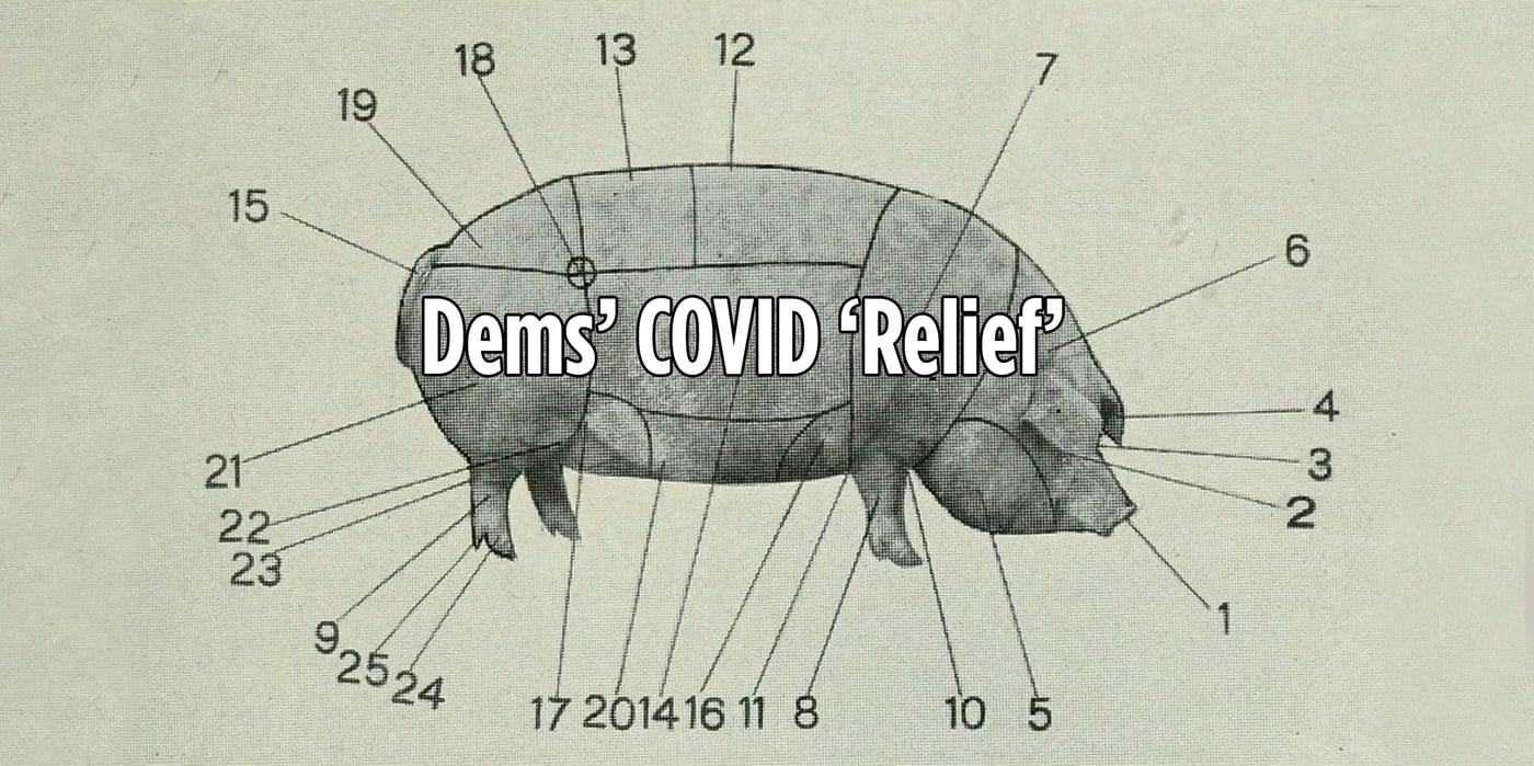 pig