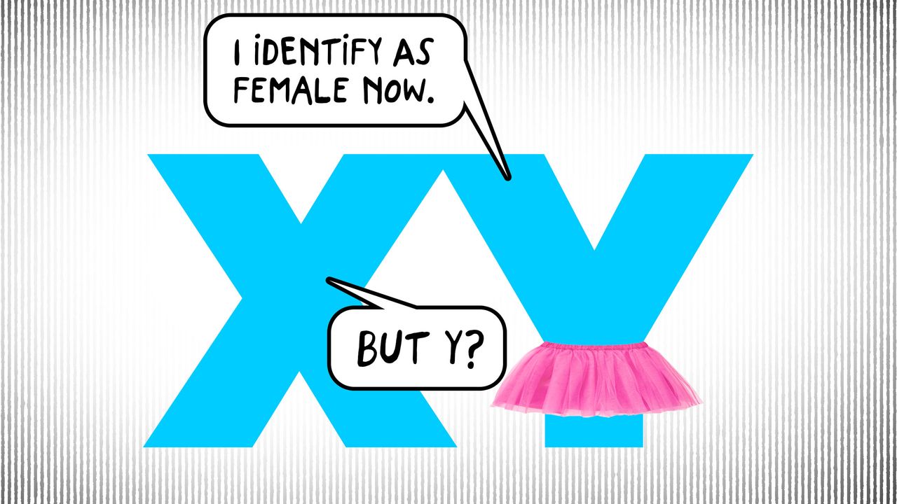 XY