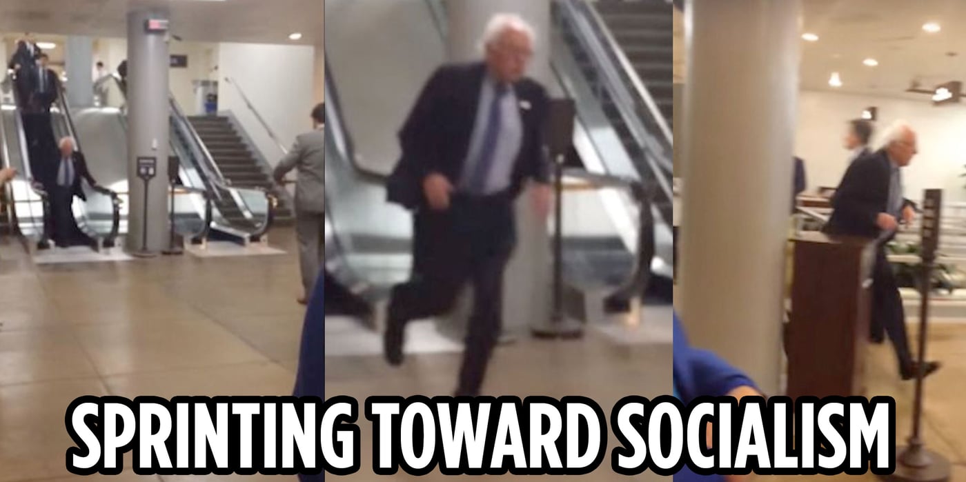 bernie